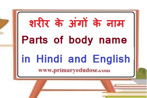 Parts of body name in Hindi and English